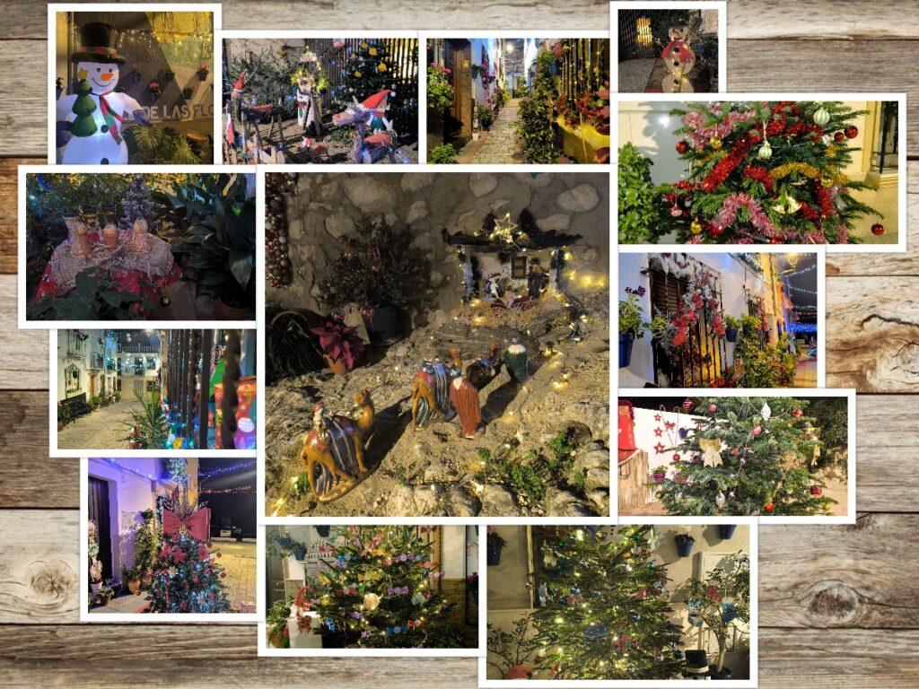 Calles de las Flores en Navidad